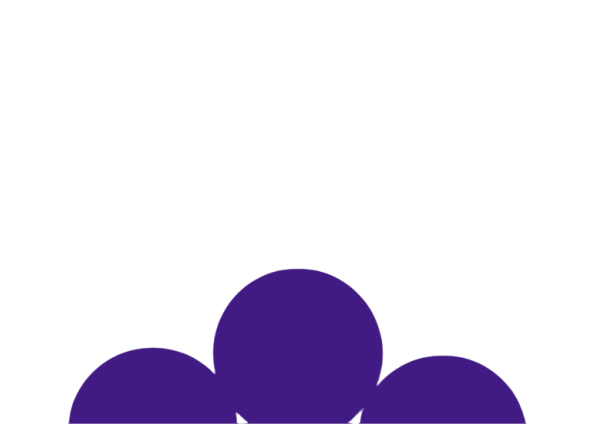 bgImg